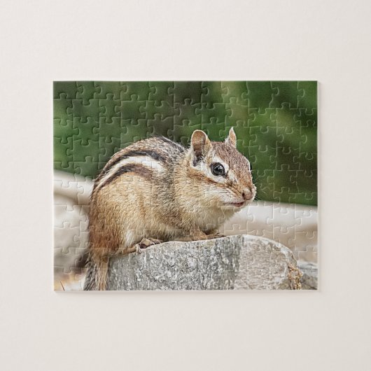 Chipmunk auf Stein Puzzle (Horizontal)