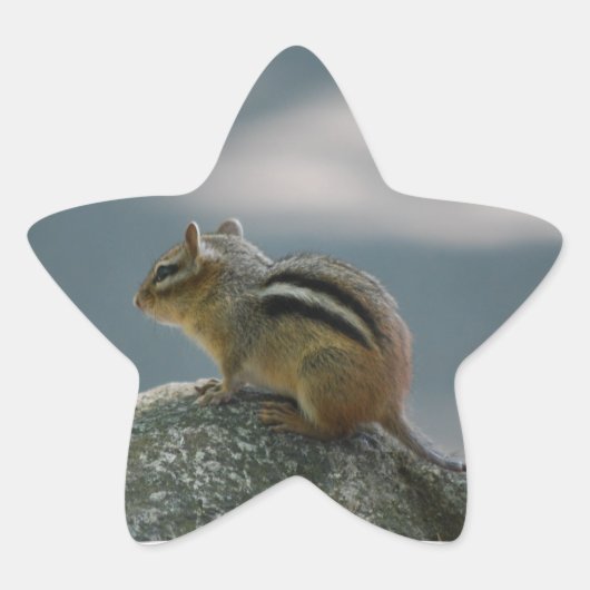 Chipmunk-Aufkleber Stern-Aufkleber (Vorderseite)