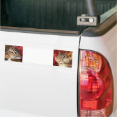 Chipmunk , Autumn (9)　photo Autoaufkleber (Auf Lkw)