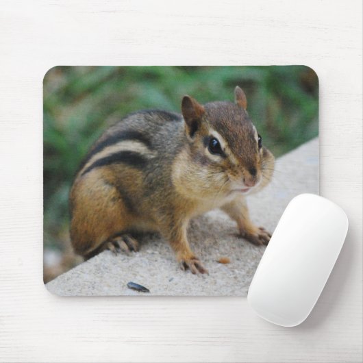 Chipmunk-Backen Mousepad (Mit Mouse)