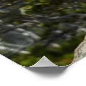 Chipmunk bei Two Medicine Lake Overlook Poster (Ecke)