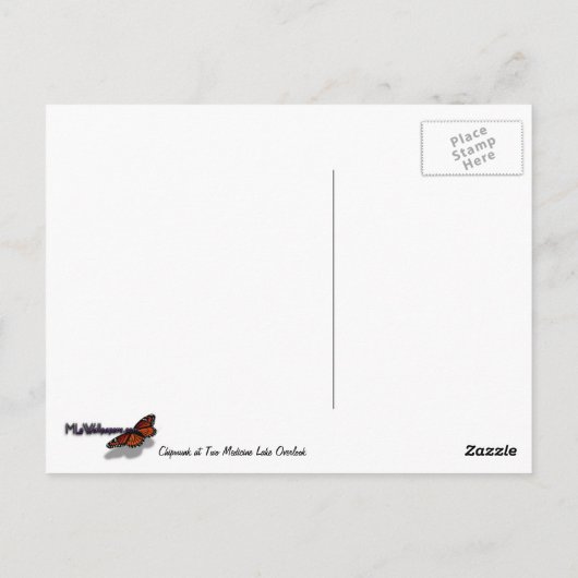 Chipmunk bei Two Medicine Lake Overlook Postkarte (Rückseite)