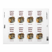 Chipmunk-Bieretikett (Vorne)