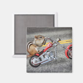 Chipmunk Biker Riding a Motorrad Magnet (Vorderseite/Rückseite)