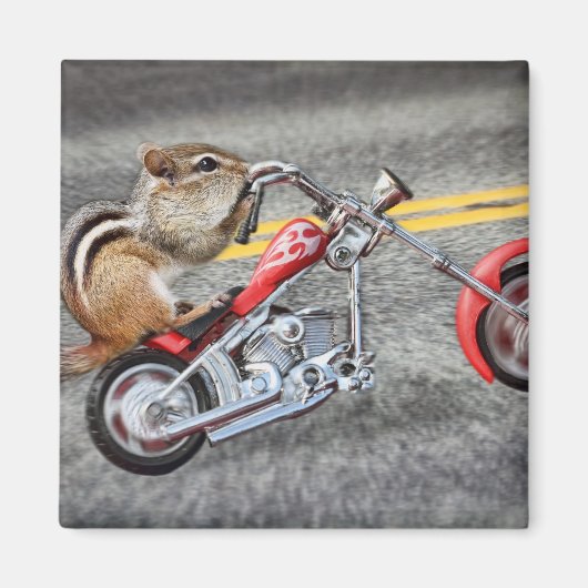 Chipmunk Biker Riding a Motorrad Magnet (Vorne)