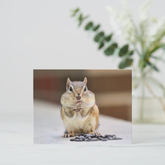 Chipmunk-Bild Postkarte (Stehend Vorderseite)