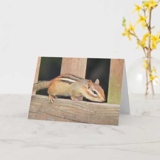 Chipmunk Birthday Card Karte (Gelbe Blume)