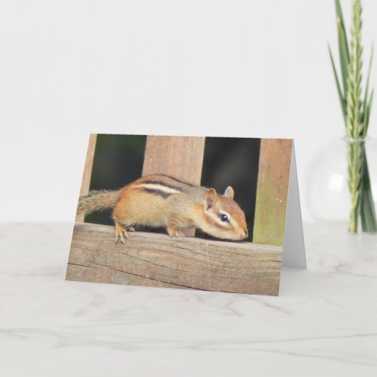 Chipmunk Birthday Card Karte (Vorderseite)