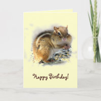 Chipmunk Birthday