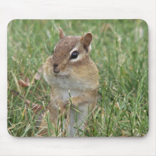 Chipmunk Cheeks Mouse Pad Mousepad (Vorne)