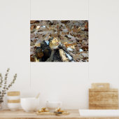 Chipmunk Cheeks Nature Poster (Küche)