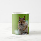 Chipmunk, der auf einem Felsen sitzt Kaffeetasse (Mittel)