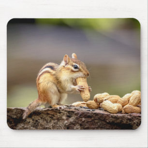 Chipmunk, der eine Erdnuss isst Mousepad