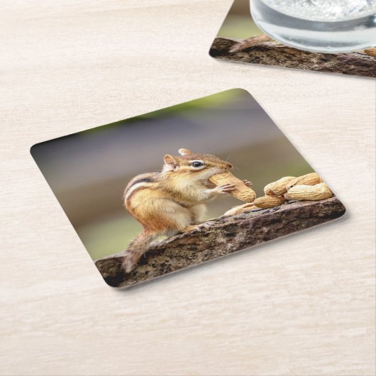 Chipmunk, der eine Erdnuss isst Rechteckiger Pappuntersetzer (angewinkelt)