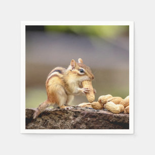 Chipmunk, der eine Erdnuss isst Serviette