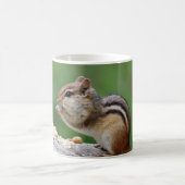 Chipmunk, der Nüsse isst Kaffeetasse (Mittel)