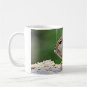 Chipmunk, der Nüsse isst Kaffeetasse (Links)