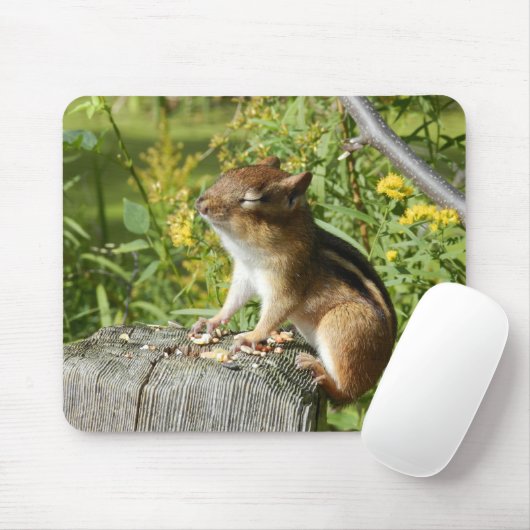 Chipmunk, der oben den Sun Mousepad tränkt (Mit Mouse)