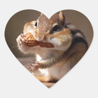 Chipmunk, der sein Gesicht erstickt Herz-Aufkleber
