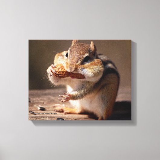 Chipmunk, der sein Gesicht erstickt Leinwanddruck (Vorderseite)