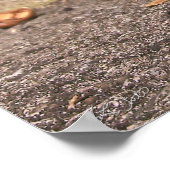 Chipmunk - Drucken Poster (Ecke)