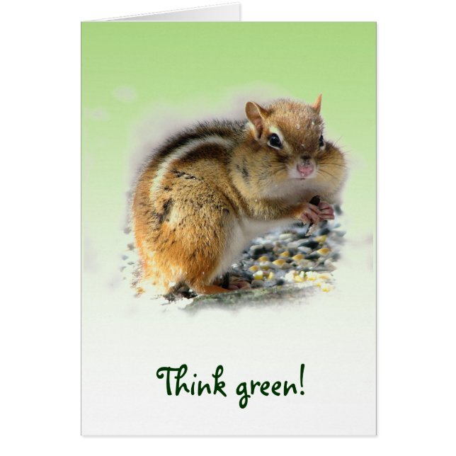 Chipmunk Earth Day (Vorne)