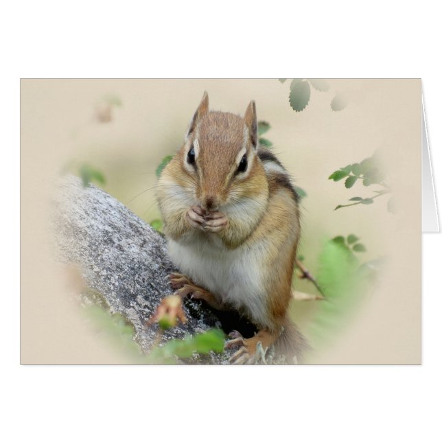 Chipmunk Eating (Vorderseite (Horizontal))