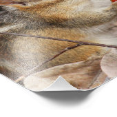 Chipmunk Eating a Cherry Foto Print (Ecke)