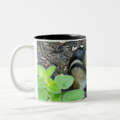 Chipmunk Eating And Collecting In The Garden Photo Zweifarbige Tasse (Links)