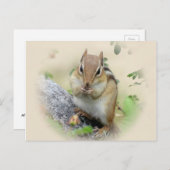 Chipmunk Eating Postkarte (Vorne/Hinten)