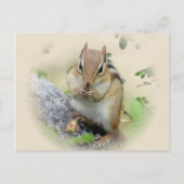 Chipmunk Eating Postkarte (Vorderseite)