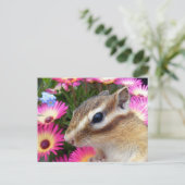 Chipmunk-Foto (30-13) Postkarte (Stehend Vorderseite)
