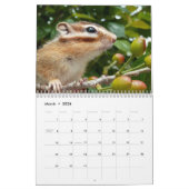 Chipmunk-Foto (3) Kalender (Mär 2026)