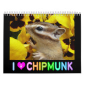 Chipmunk-Foto (3) Kalender (Titelbild)