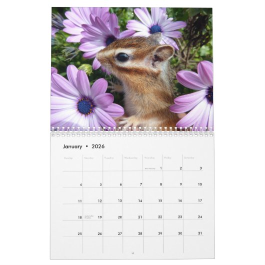 Chipmunk-Foto (3) Kalender (Jan 2026)