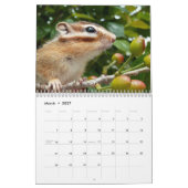 Chipmunk-Foto (3) Kalender (Mär 2027)