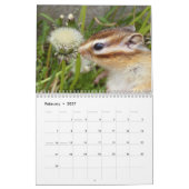 Chipmunk-Foto (3) Kalender (Feb 2027)