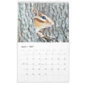 Chipmunk-Foto (4) Kalender (Mär 2027)