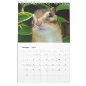 Chipmunk-Foto (4) Kalender (Feb 2027)