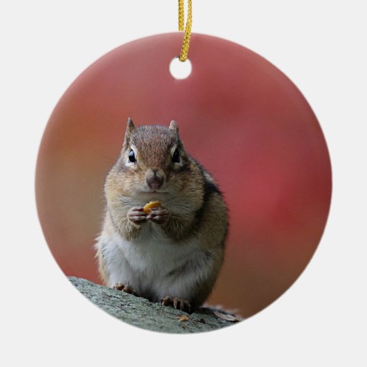 Chipmunk-Foto Keramikornament (Vorne)