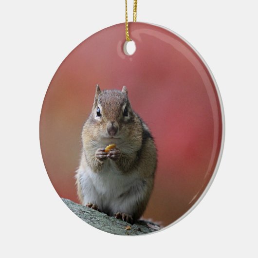 Chipmunk-Foto Keramikornament (Links)