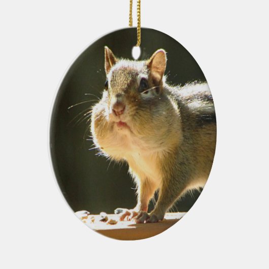 Chipmunk-Foto Keramikornament (Rechts)