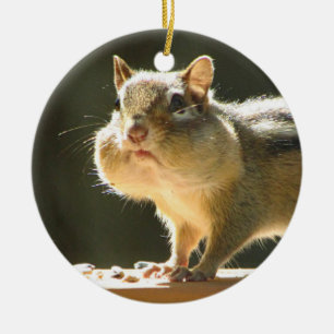 Chipmunk-Foto Keramikornament