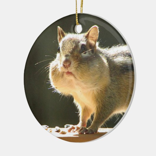 Chipmunk-Foto Keramikornament (Links)