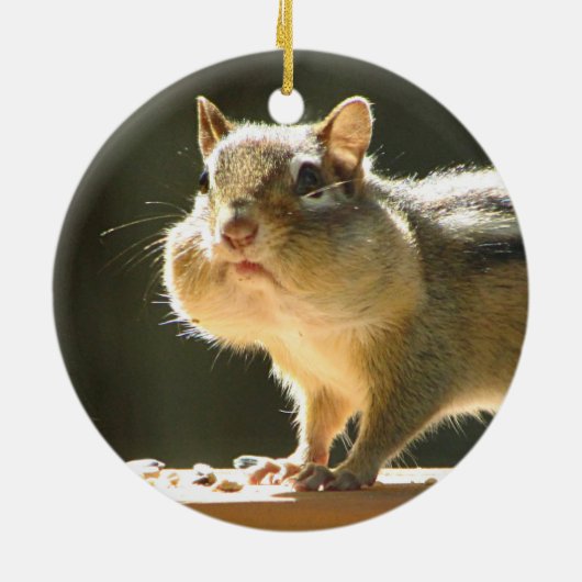 Chipmunk-Foto Keramikornament (Hinten)