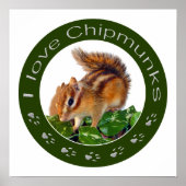 Chipmunk-Foto Poster (Vorne)