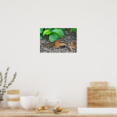 Chipmunk-Foto-Poster Poster (Küche)