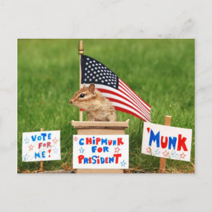 Chipmunk für Präsident Postcard Postkarte