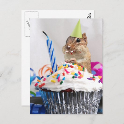Chipmunk-Geburtstagsfeier Postkarte (Vorne/Hinten)