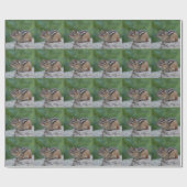 Chipmunk Geschenkpapier (Flach)